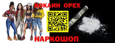СК Кингисепп