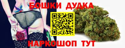 СК Кингисепп
