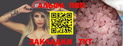 СК Кингисепп