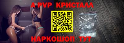 СК Кингисепп