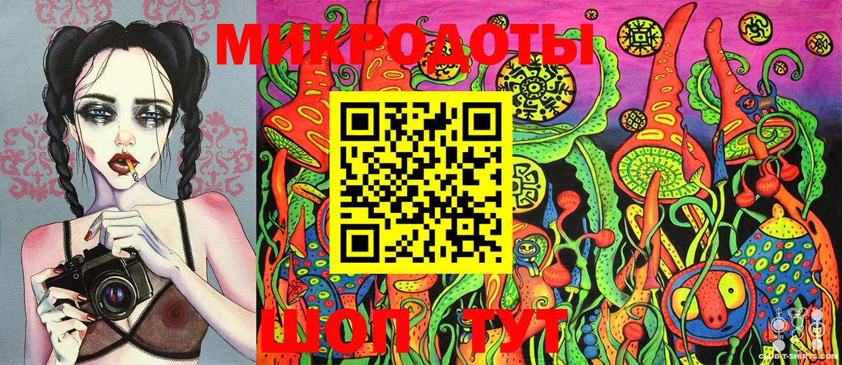 Псилоцибиновые грибы Psilocybe  Галлюциногенные грибы ЛСД  купить закладку  Хасавюрт  Вход с VPN 