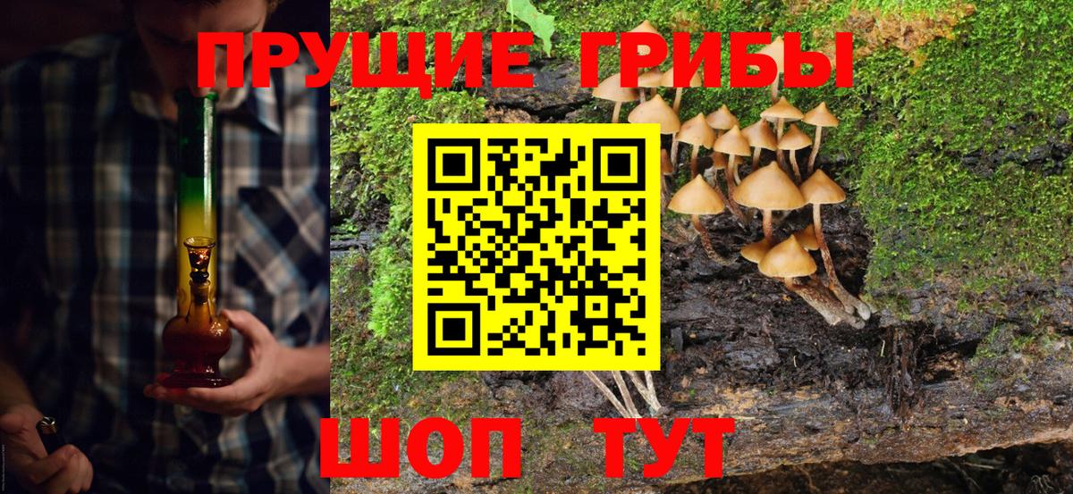 Галлюциногенные грибы Psilocybine cubensis Хасавюрт